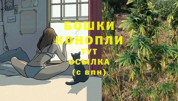ПСИЛОЦИБИНОВЫЕ ГРИБЫ Абаза