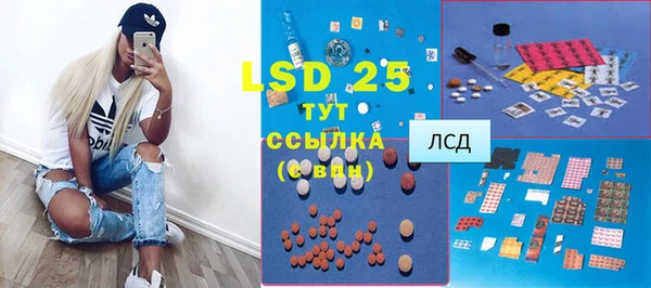 прущие грибы Абинск