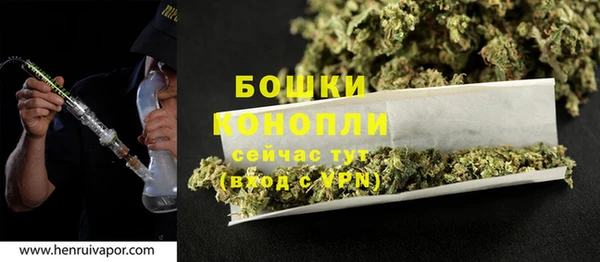 ПСИЛОЦИБИНОВЫЕ ГРИБЫ Абаза