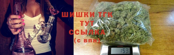 ПСИЛОЦИБИНОВЫЕ ГРИБЫ Абаза