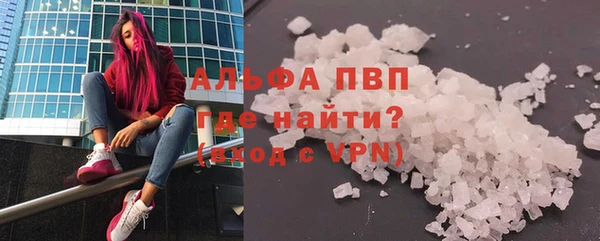 прущие грибы Абинск