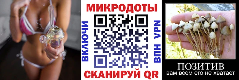 купить  цена  Егорьевск  Галлюциногенные грибы Magic Shrooms 