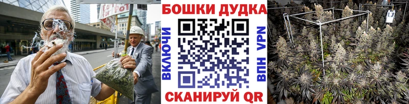 Конопля гибрид  Егорьевск 